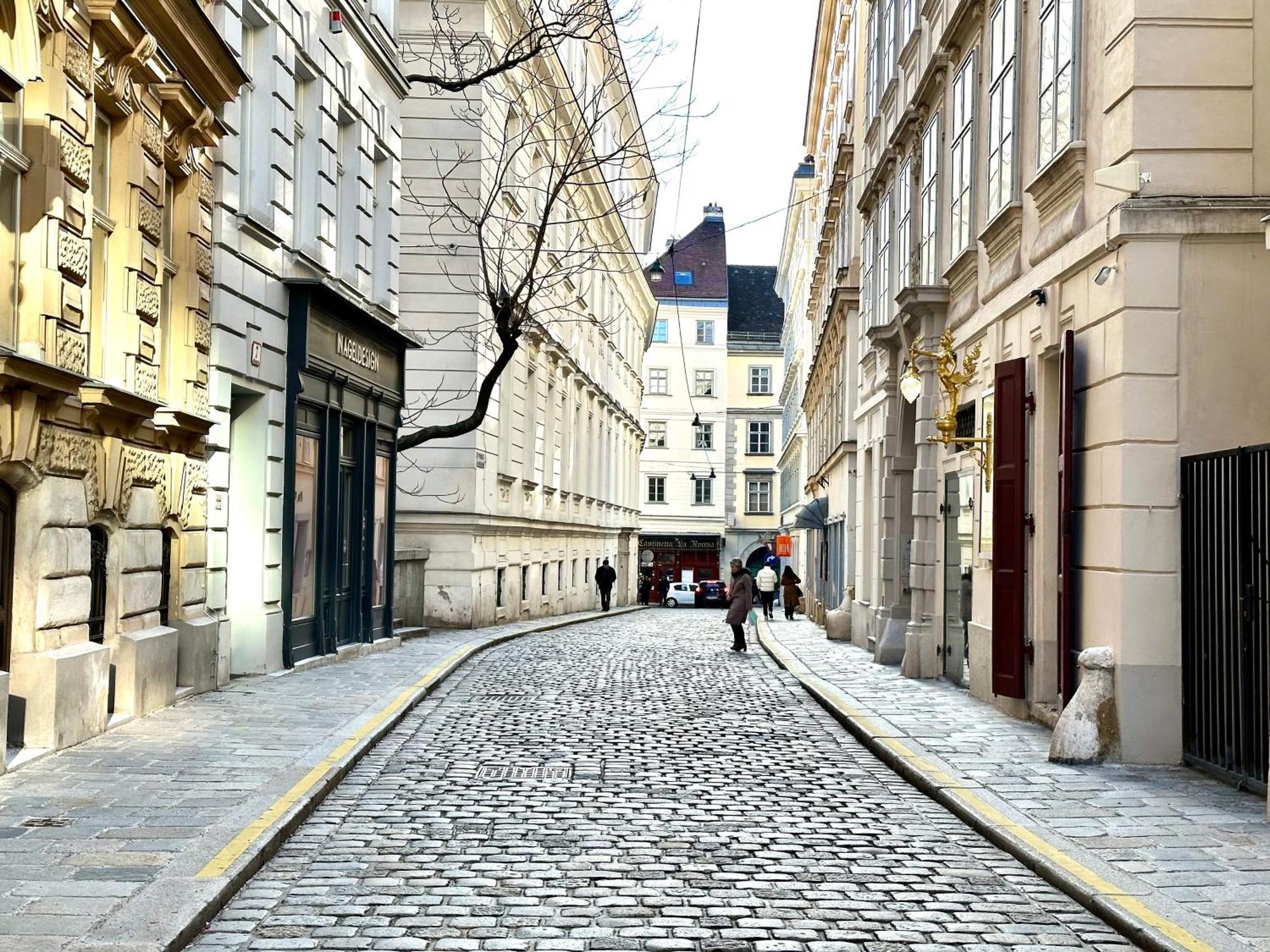 Central Stephansdom Apartment I Netflix I Self Check In Wiedeń Zewnętrze zdjęcie